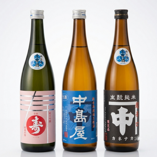 【お得な限定12セット】夏のおすすめ生酒720ml3本とTシャツ1枚セット