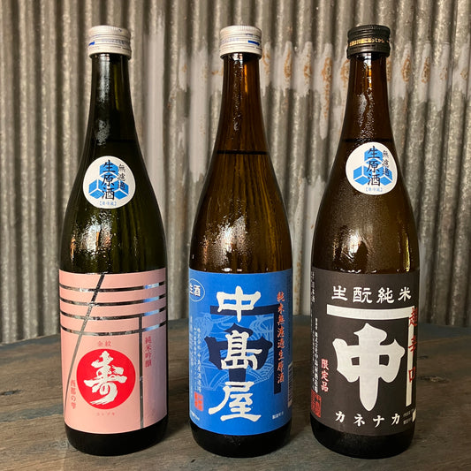【お得な限定12セット】夏のおすすめ生酒720ml3本とTシャツ1枚セット